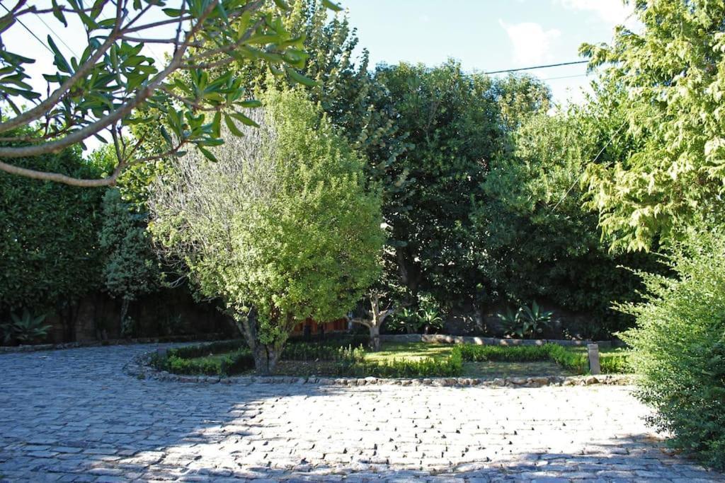 Casa Dos Tres Rapazes Villa Monte Cordova