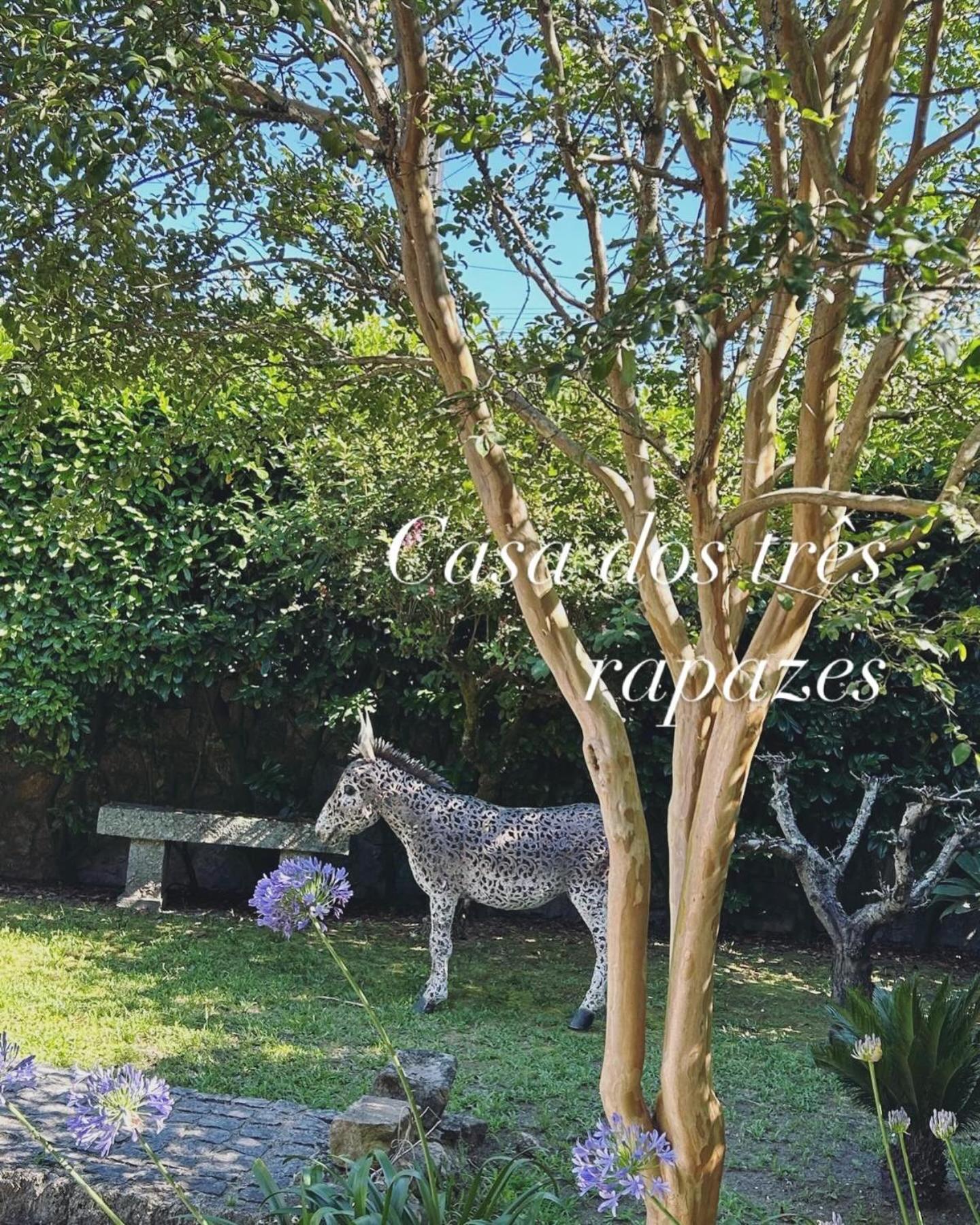 Casa Dos Tres Rapazes Villa *
